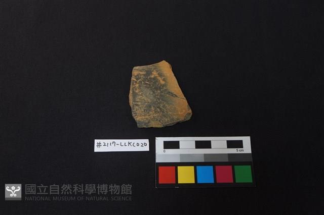 陶片藏品圖，第1張