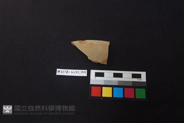 陶片藏品圖，第1張