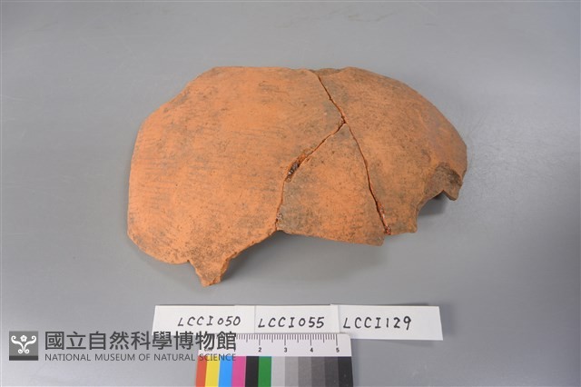 陶片藏品圖，第1張