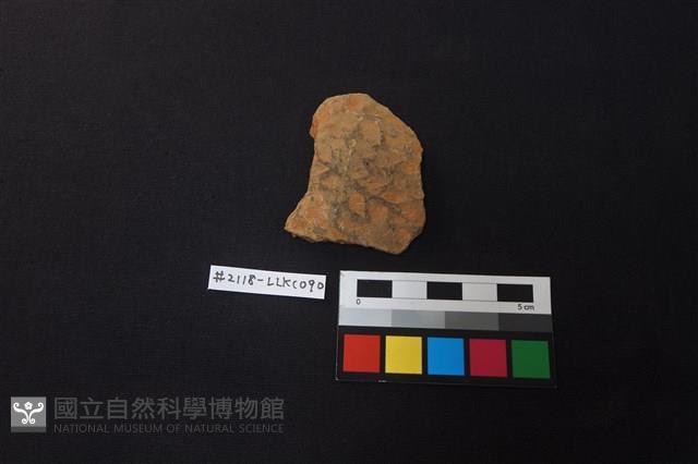 陶片藏品圖，第1張