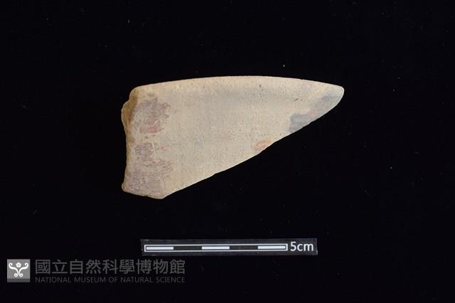 陶片藏品圖，第1張