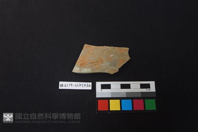 陶片藏品圖，第1張