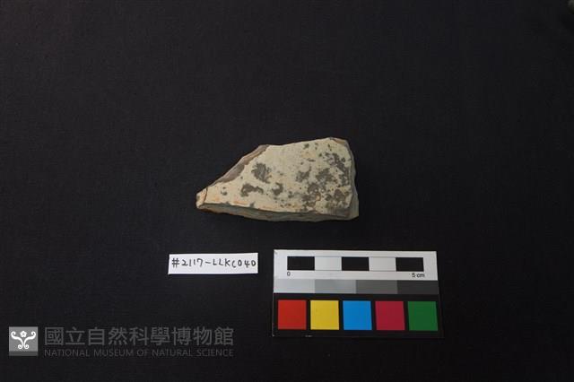 陶片藏品圖，第1張