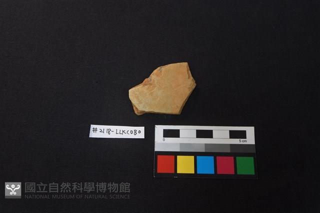 陶片藏品圖，第1張