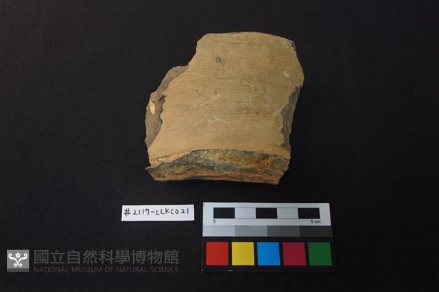 陶片藏品圖，第1張