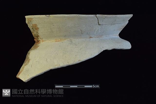 陶罐藏品圖，第1張