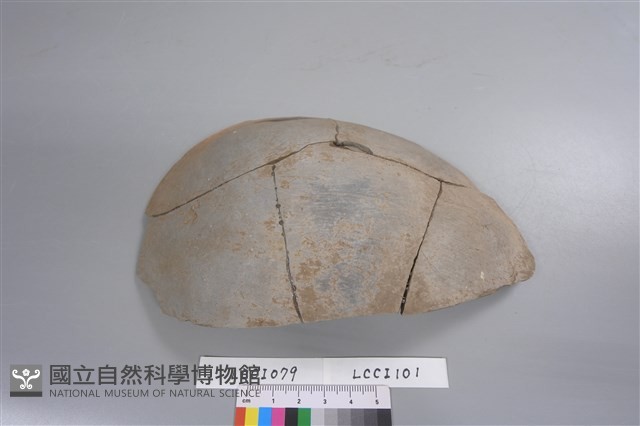 陶片藏品圖，第1張