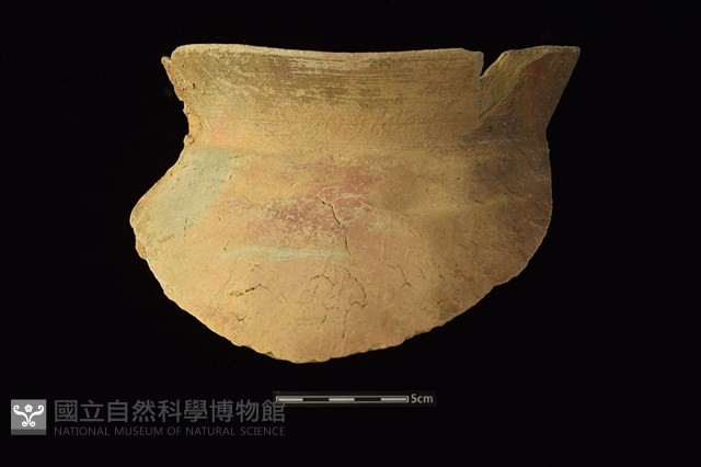 陶罐藏品圖，第1張