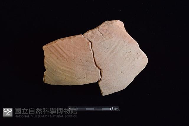 陶片藏品圖，第1張