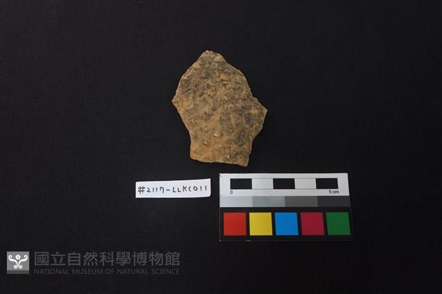 陶片藏品圖，第1張