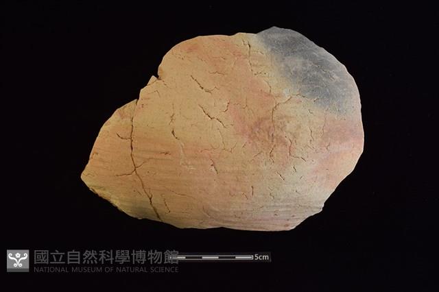 陶片藏品圖，第1張