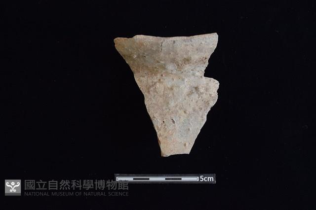 陶罐藏品圖，第1張