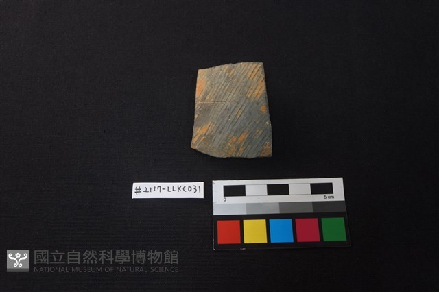 陶片藏品圖，第1張