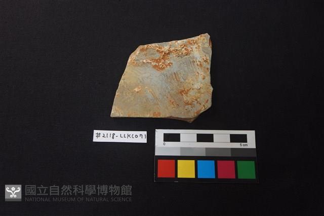 Accession Number:LLKC071 Collection Image, Figure 1, Total 2 Figures