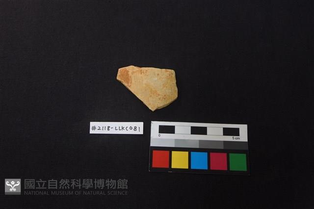 陶片藏品圖，第1張