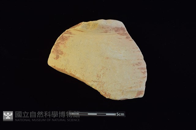 陶罐藏品圖，第1張