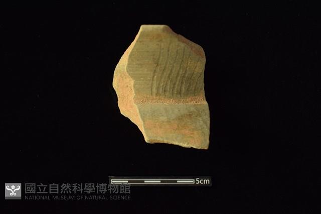 陶罐藏品圖，第1張