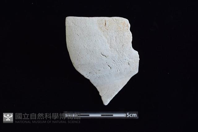 陶罐藏品圖，第1張