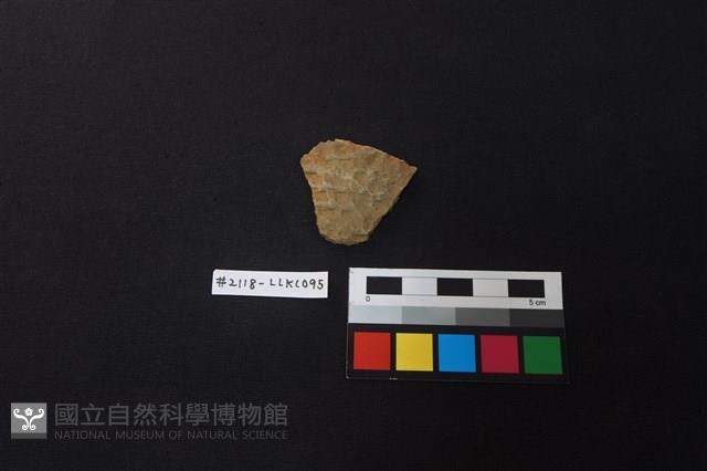 陶片藏品圖，第1張