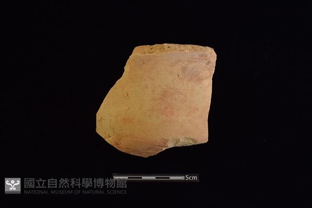 陶片藏品圖，第1張