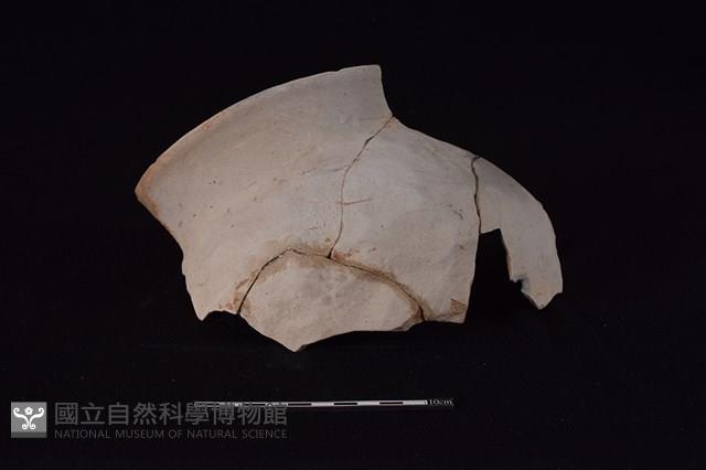 陶罐藏品圖，第1張