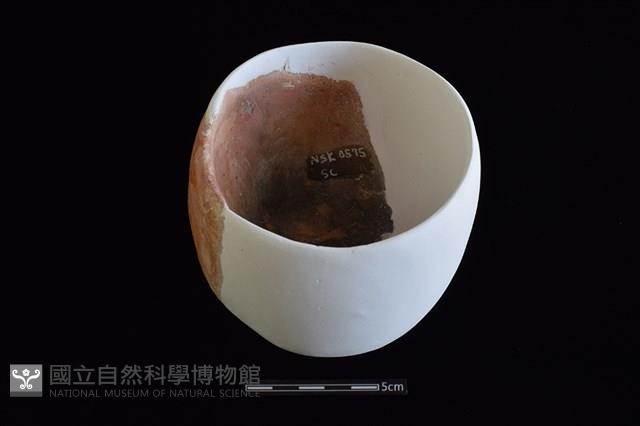 陶缽藏品圖，第1張