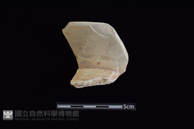 陶罐藏品圖，第1張