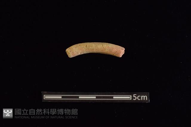 陶環藏品圖，第1張