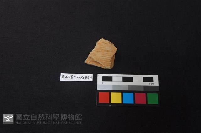 陶片藏品圖，第1張