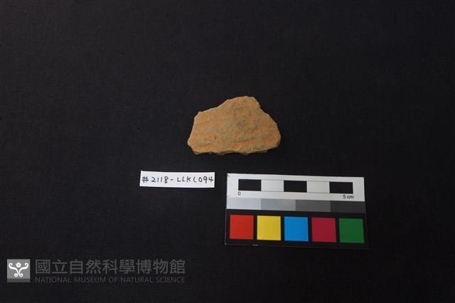 陶片藏品圖，第1張