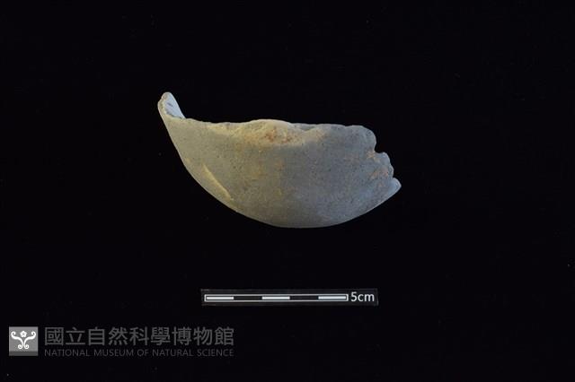 陶片藏品圖，第1張