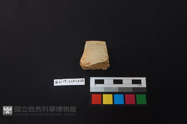 陶片藏品圖，第1張