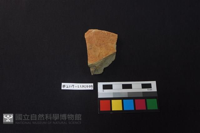 陶片藏品圖，第1張