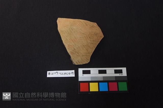 陶片藏品圖，第1張