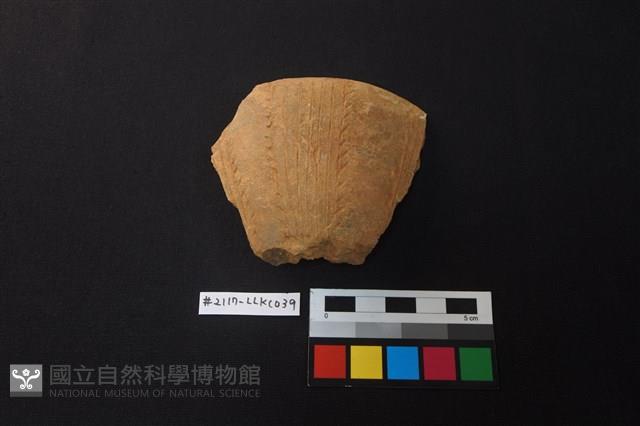 陶片藏品圖，第1張