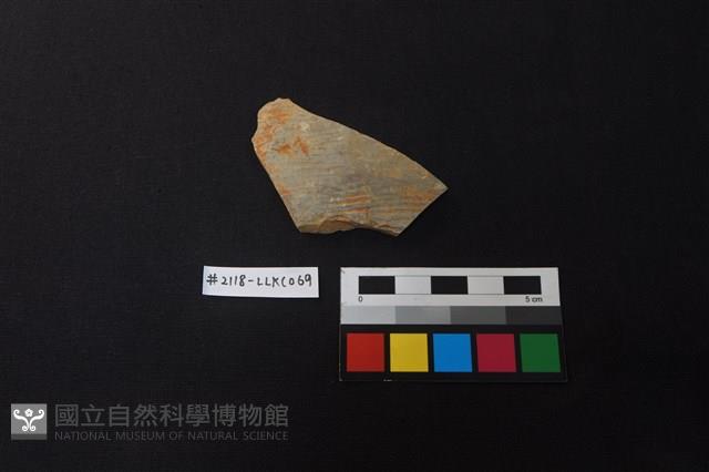 陶片藏品圖，第1張