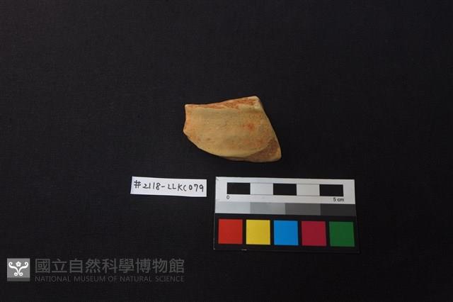 陶片藏品圖，第1張