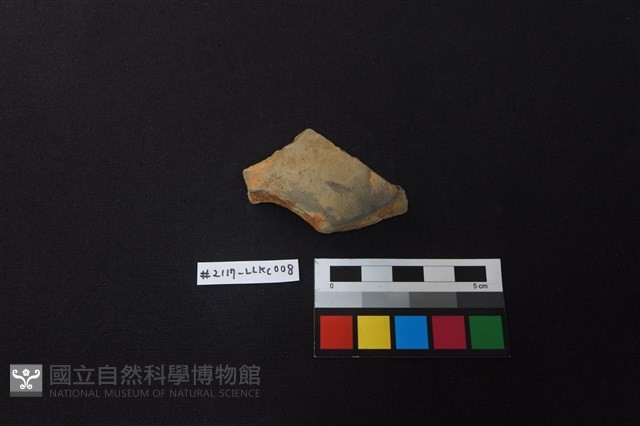 陶片藏品圖，第1張