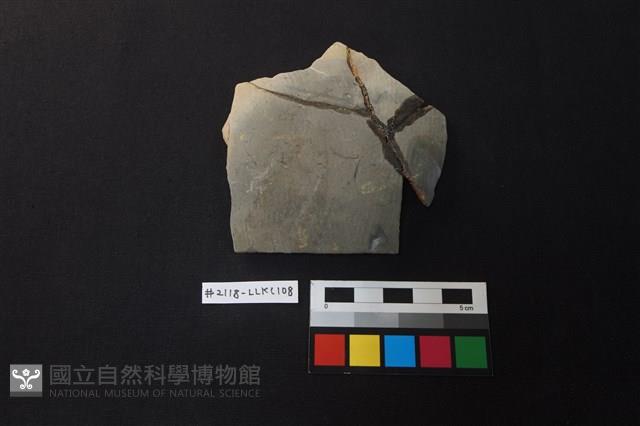 陶片藏品圖，第1張