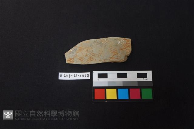 陶片藏品圖，第1張