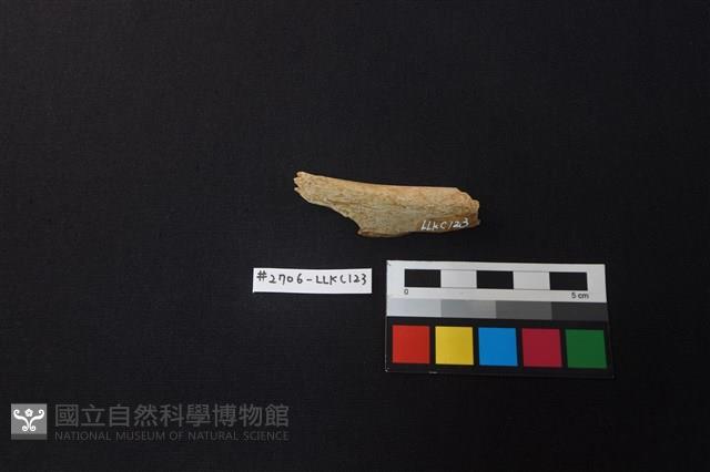 陶片藏品圖，第1張