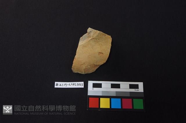 陶片藏品圖，第1張