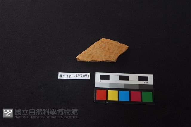 陶片藏品圖，第1張