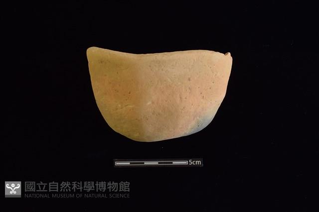 陶缽藏品圖，第1張