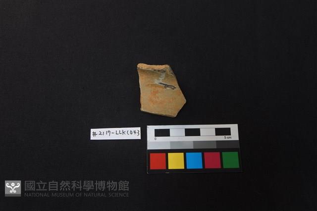 陶片藏品圖，第1張