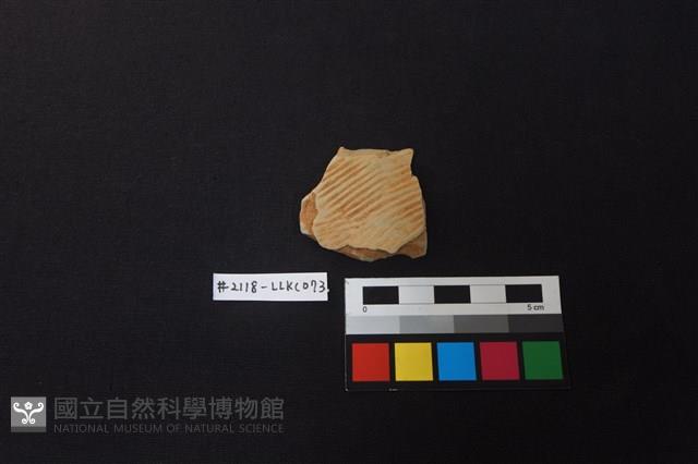 陶片藏品圖，第1張