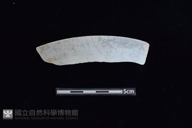 陶片藏品圖，第1張