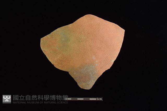 陶環藏品圖，第1張