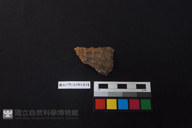 陶片藏品圖，第1張