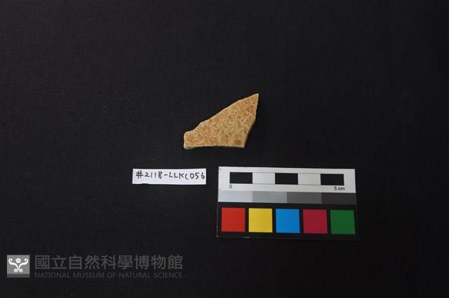 陶片藏品圖，第1張